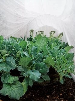 Summerweight Garden Fabric -Gardening Supplies 32644 7936 tif