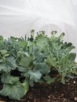 All-Purpose Garden Fabric -Gardening Supplies 32646 7940 tif