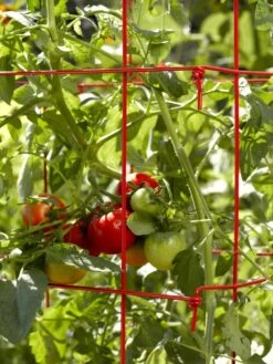 Tomato Cages, Set Of 4 -Gardening Supplies 34182 592