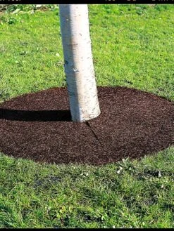 Tree Ring, 36" -Gardening Supplies 34441 06 tif 1
