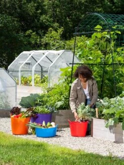 3-Season Plant Protection Tent, 3' X 6' 21 3-Season Plant Protection Tent, 3' X 6' -Gardening Supplies 35 592 0181 1