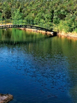 Aquasphere Pond Cleaners -Gardening Supplies 37425 001ed 1