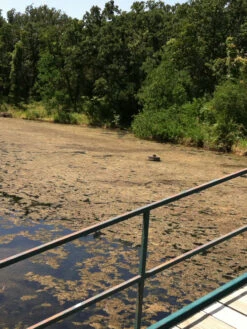 Blast, 2,500 Gallon, 5 Packets -Gardening Supplies 37425 001v 1 1