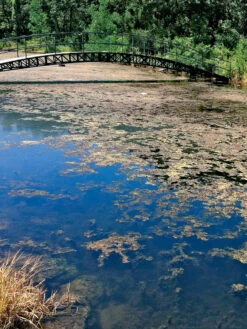 Aquasphere Pond Cleaners -Gardening Supplies 37425 002ed 1