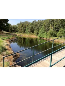 Blast, 125,000 Gallon, 12 Packets 7 Blast, 125,000 Gallon, 12 Packets -Gardening Supplies 37425 002v 1