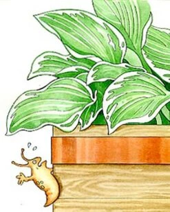 Copper Slug Tape -Gardening Supplies 38 994 b