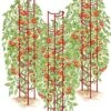 Tomato Ladders, Set Of 3 -Gardening Supplies 38185 001E psd