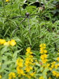 Jardin Bird Cage Support, 26" -Gardening Supplies 39 520 0077 tif