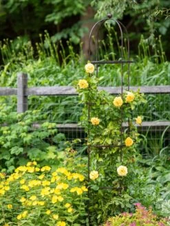 Jardin Round Obelisk, 7' -Gardening Supplies 39 530 1668 tif