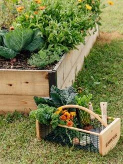 Garden Hods -Gardening Supplies 39 761 572 tif