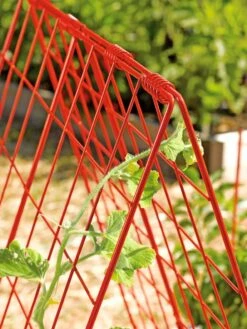 Deluxe Cucumber Trellis -Gardening Supplies 39806 542 tif