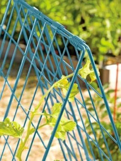 Deluxe Cucumber Trellis -Gardening Supplies 39806 BLUE 100 tif