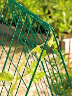 Deluxe Cucumber Trellis -Gardening Supplies 39806 GR edit tif