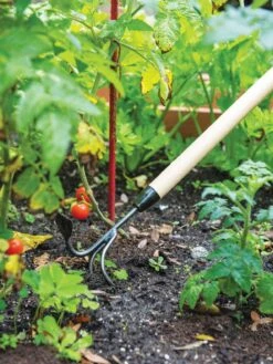 Gardener's Lifetime Long-Handled Double Tool -Gardening Supplies 3 4 crop 8592107 2460 tif