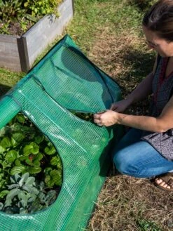 Multi Cloche -Gardening Supplies 3 4 crop 8613213 0245