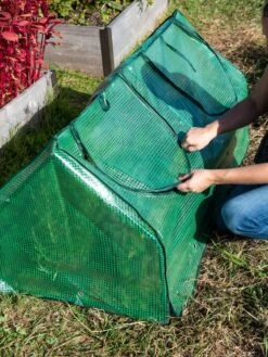 Multi Cloche -Gardening Supplies 3 4 crop 8613213 0250