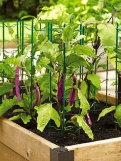 Pepper And Eggplant Stakes, Set Of 3 7 Pepper And Eggplant Stakes, Set Of 3 -Gardening Supplies 40308 2116 tif