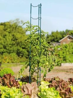 Stacking Tomato Ladders, Set Of 6 -Gardening Supplies 40309 100 tif