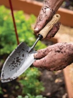 Gardener's Lifetime Trowel 13 Gardener's Lifetime Trowel -Gardening Supplies 8586972 3242 tif