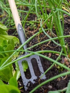 Gardener's Lifetime Spork -Gardening Supplies 8586973 2383 tif