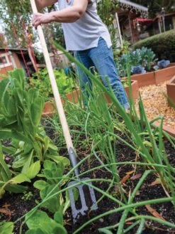 New Release -Gardening Supplies 8586973 2385 tif