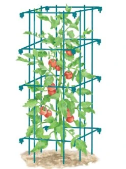Tomato Cage, Single -Gardening Supplies 8587039 TomatoCage BLUE tif