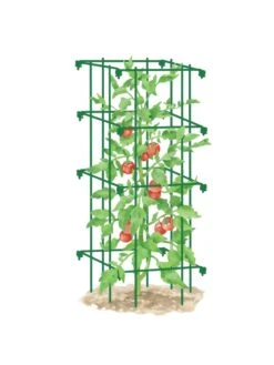 Tomato Cage, Single -Gardening Supplies 8587039 TomatoCage GRN tif