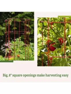 Tomato Cages, Set Of 4 -Gardening Supplies 8587040 2