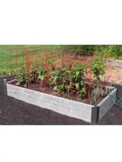 Pepper And Eggplant Cages, Set Of 3 -Gardening Supplies 8587048 6008 3 4