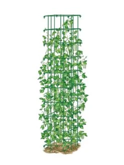 Bean Tower -Gardening Supplies 8587060 0008 GRN tif