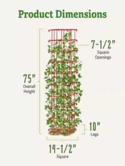 Bean Tower -Gardening Supplies 8587060 dimensions