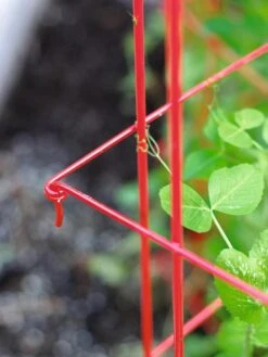 Tall Expandable Pea Trellis -Gardening Supplies 8587061 010 tif