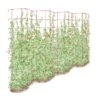 Tall Expandable Pea Trellis 2 Tall Expandable Pea Trellis -Gardening Supplies 8587062 0001 RED tall expandable pea trelis tif