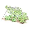 Large Cucumber Trellis -Gardening Supplies 8587082 CukeTrellis L Blk 001E tif