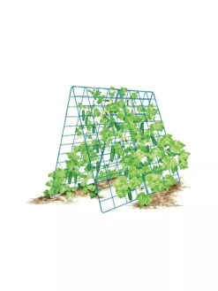 Deluxe Cucumber Trellis -Gardening Supplies 8587083 001 BLUE Cukes two sided deluxe cucumber trellis support storm blue 3 4