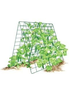 Deluxe Cucumber Trellis -Gardening Supplies 8587083 001 GRN tif