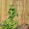 Wire A-Frame Trellis