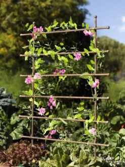 Jardin Ladder Trellis -Gardening Supplies 8587107 083 tif