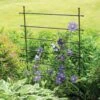 Jardin Ladder Trellis -Gardening Supplies 8587107 1651 tif