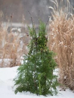 Jardin Pot Trellis -Gardening Supplies 8587120 009 tif