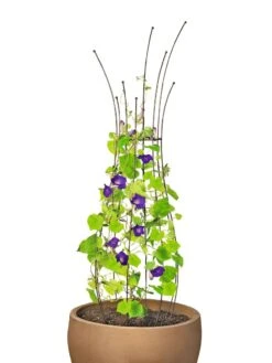 Jardin Pot Trellis -Gardening Supplies 8587120 1006 tif