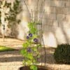 Jardin Pot Trellis