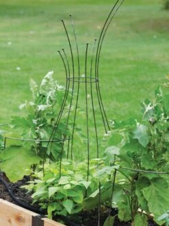 Jardin Pot Trellis -Gardening Supplies 8587120 7037 tif