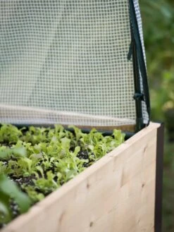 Protection Frame & Covers, 2' X 8' -Gardening Supplies 8587631 265 tif