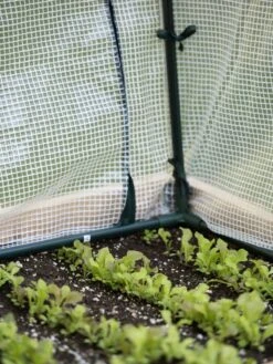Protection Frame & Covers, 2' X 4' -Gardening Supplies 8587631 271 tif 1