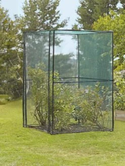 Crop Cage, 4' X 4' 10 Crop Cage, 4' X 4' -Gardening Supplies 8587832 149 tif