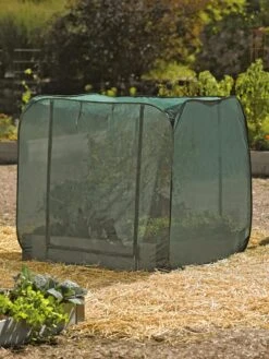 Pest Control Pop-Ups -Gardening Supplies 8587859 026 tif