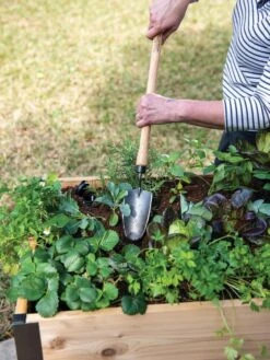 Gardener's Lifetime Raised Bed Trowel -Gardening Supplies 8588014 4084 tif