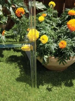 Canopia® By Palram Harmony™ Greenhouse, 6' -Gardening Supplies 8588022 005V tif