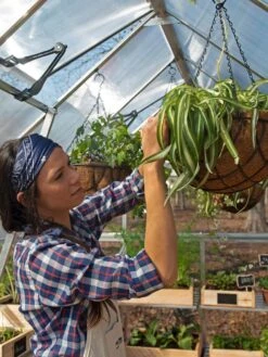 Canopia® By Palram Balance Greenhouse, 8' X 12' -Gardening Supplies 8588023 07V jpg